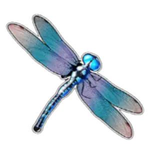 Blue insect in slot